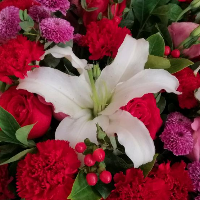 山西大通鴻基房產(chǎn)經(jīng)紀(jì)有限公司